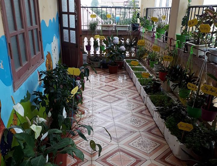 xây dựng trường mầm non lấy trẻ làm tung tâm